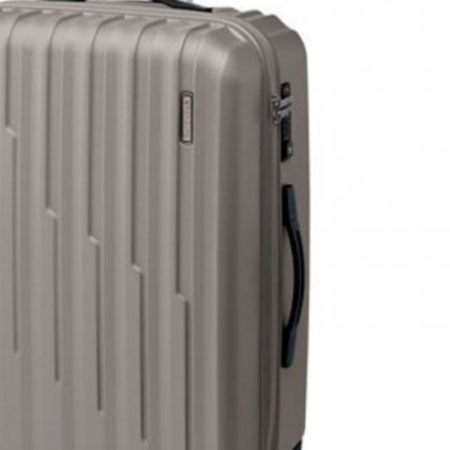 Roncato Element luggage