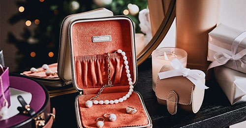 Friedrich Lederwaren jewelry case